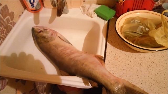 Жиросжигание продолжается. Рыба и яичные белки. смотреть онлайн