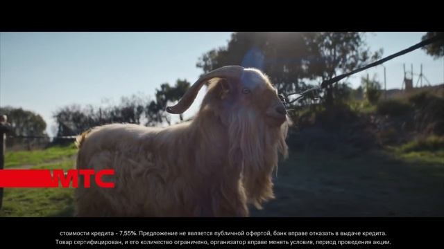 МТС | Samsung Galaxy | Дмитрич смотреть онлайн