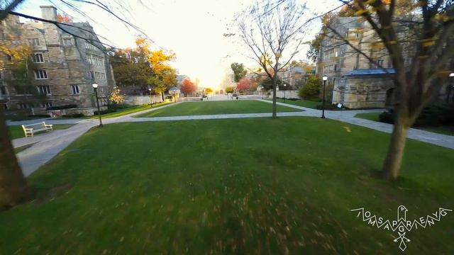 Yale University Campus