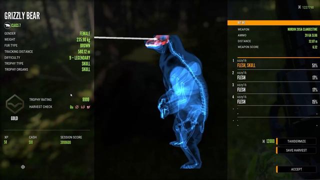 GRIZZLY BEAR! SNIPE VS SHOTGUN? смотреть онлайн