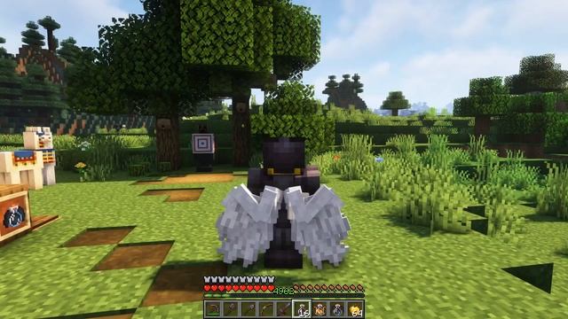 Minecraft 1.16.5 - Wings Mod смотреть онлайн