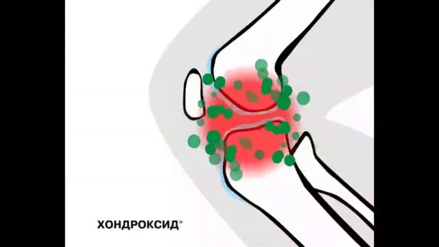 Развлекательные видео