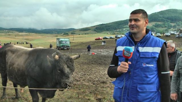 - ŽUJA I MESI OSVOJILI STRIČIĆE 2021 TUBIĆI I BILANDŽIJE SLAVILI KOČIĆEV 56 ZBOR смотреть онлайн