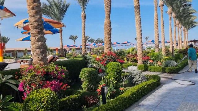 Hawaii Riviera Отель Хургада смотреть онлайн