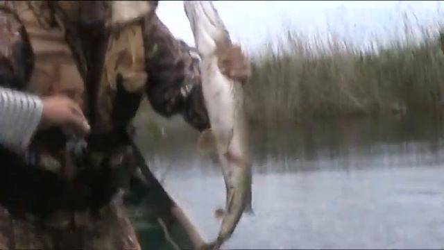 щука на раскатах! Астрахань смотреть онлайн