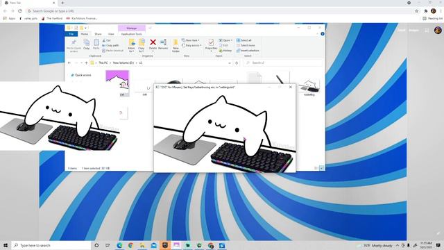 How to make Bongo Cat your Web Cam and How To Install It! смотреть онлайн