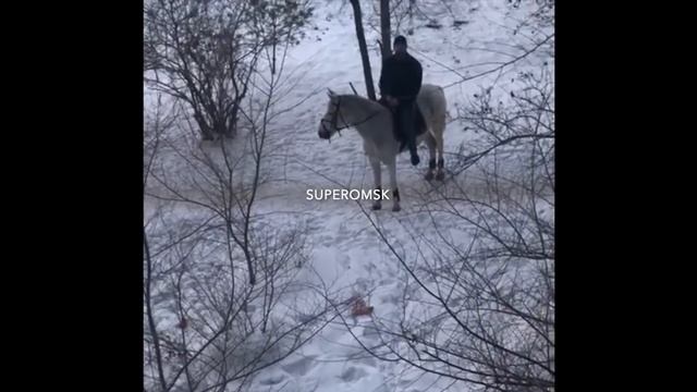 Омский принц сделал предложение руки и сердца верхом на коне