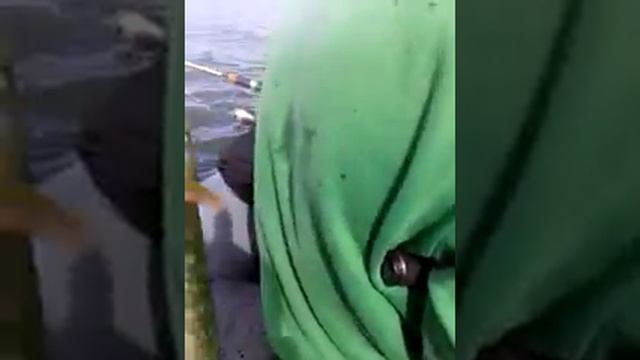 Рыбалка Иртяш щука,джиг,дамба смотреть онлайн