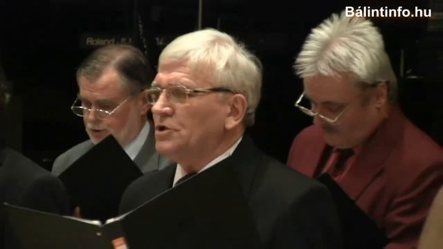 Törökbálint: Lendvai Károly Férfikórus - Dalos Bál 2011 смотреть онлайн