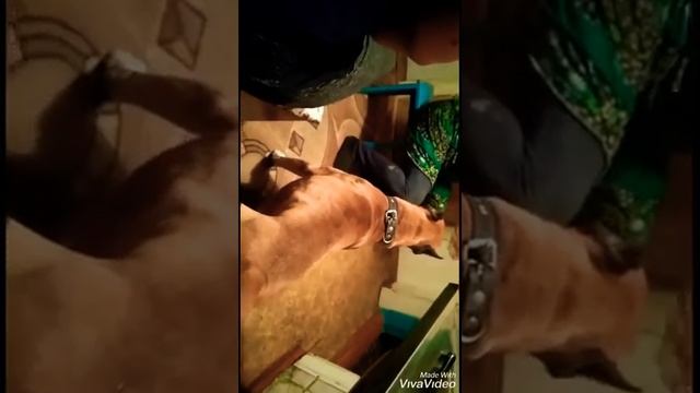 Ирина Алегрова и Тайсан . Город ГЕОРГИЕВСК 24. 02 2020 смотреть онлайн