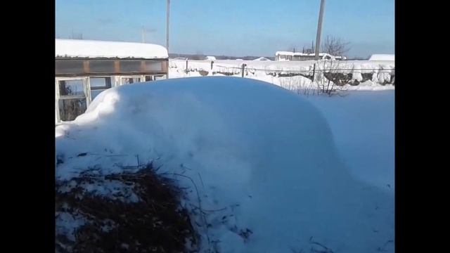 Маня родила, проблемы с выменем, чем лечим.. смотреть онлайн