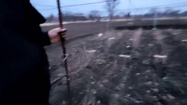 23/02/2022. Обсуждение посадки малины и жимолости. смотреть онлайн