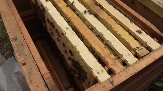 Большой недостаток улья на рамку 145 смотреть онлайн