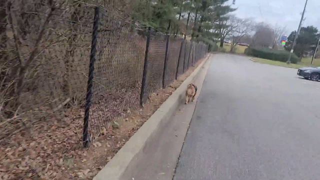 КРИЗИС В США, УСТАЛА ВОЛНОВАТЬСЯ! МУЖ С СОПЛЯМИ! СТАРЫЙ НОВЫЙ ГОД И ДЕНЬ РОЖДЕНИЯ- КРУГЛАЯ ДАТА! смотреть онлайн