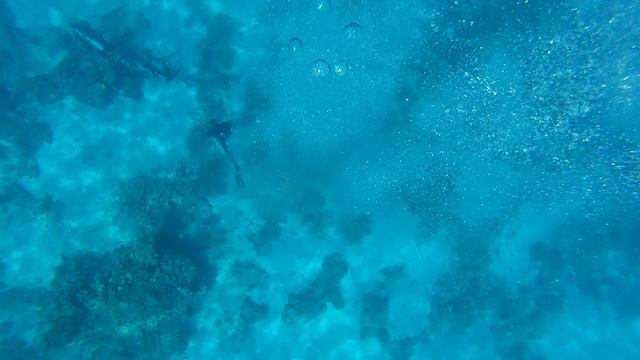 Club El Faraana Reef 4* Ras Um El Sid. Egypt смотреть онлайн