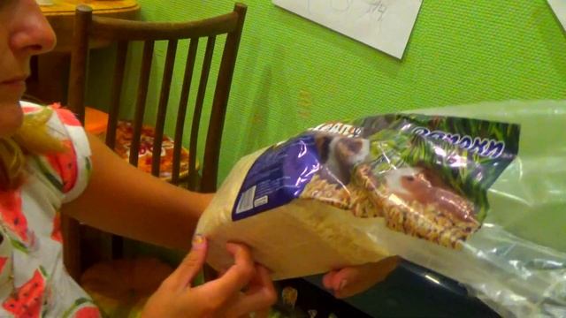 134.Уход за сирийским хомяком,самое важное. Наш хомяк смотреть онлайн