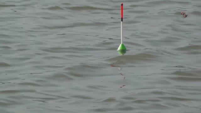 Рыбалка, река Кирпили, поклевка Карпа на поплавочную удочку с дальним забросом Fishing angeln câu cá смотреть онлайн