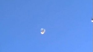 Торцовые голуби стиль полёта