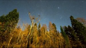 Ночь постучится в окно