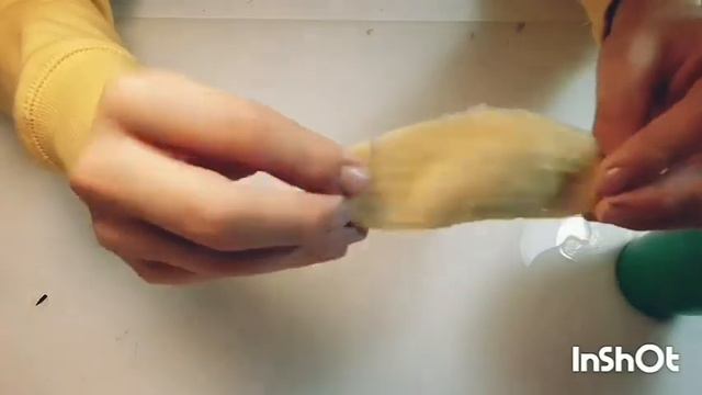 Как вырастить манго из косточки +косточка проросла внутри плода!!! смотреть онлайн