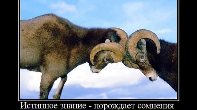 Барашки 2 0001 смотреть онлайн