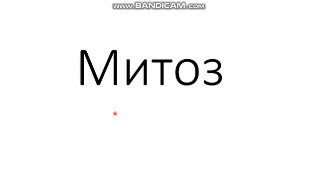Деление клетки- Митоз Для подготовки к ЕГЭ по биологии смотреть онлайн