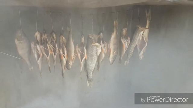 Коптильня.Холодное копчение,щука,окунь,жерех
Деревенский парень смотреть онлайн