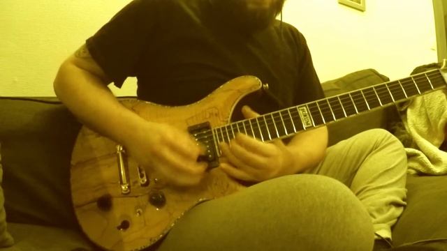 Angra - Rebirth solo cover (AlexeyMak) смотреть онлайн
