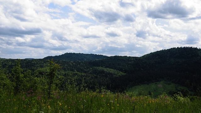 Літо на Прикарпатті 4К Canon R8 смотреть онлайн