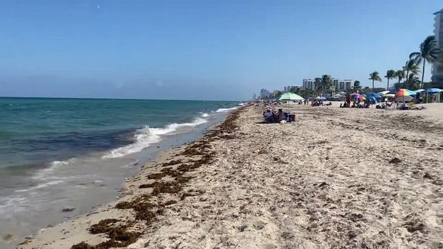 Из порта Майами и Port Everglades сново уходят корабли. Возобновление круизов, пляж Hollywood Beach смотреть онлайн