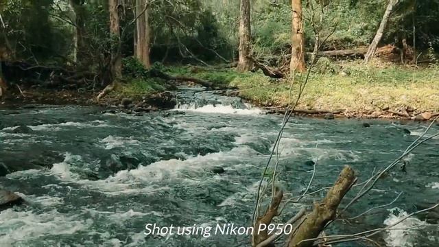 Nikon P950 Cinematic Video смотреть онлайн