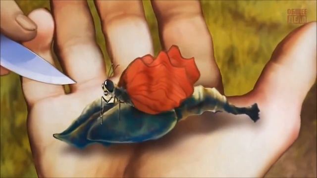 Не надрезайте кокон бабочки. смотреть онлайн