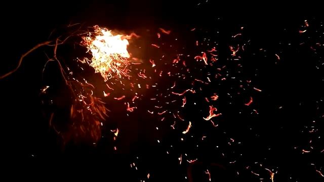 Как горит сухой эвкалипт смотреть онлайн