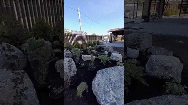 сделали небольшой рокарий на участке 40м² смотреть онлайн