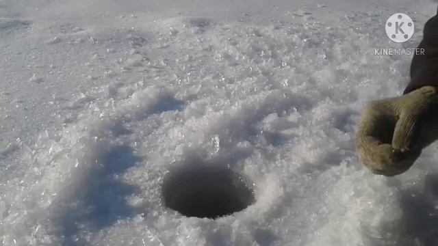 Рыбалка. Мороз. Хороший клев. смотреть онлайн