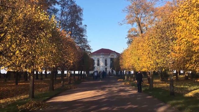 VLOG 44. Золотая осень в Петергофе (Петродвореце). Санкт-Петербург, октябрь 2018 смотреть онлайн