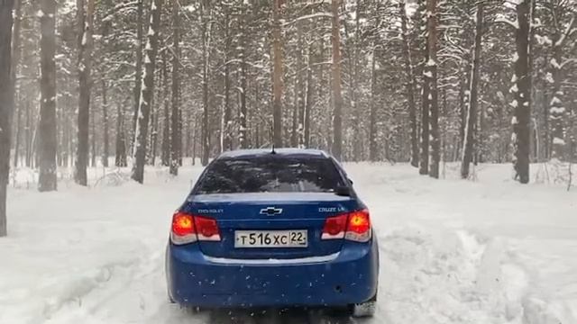 КРАСОТА зимнего леса смотреть онлайн