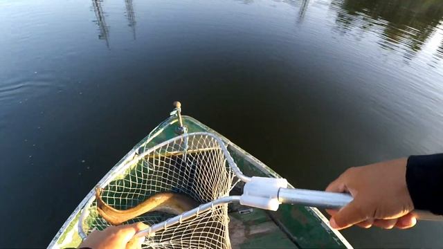 Ловля судака и сома. Рыбалка на спиннинг. Джиг в сентябре. Ванчо меня обловил! смотреть онлайн