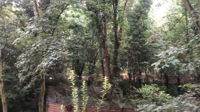 WEBER Grill PULSE 1000 In Action 2