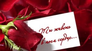 Алексей Брянцев и Ирина Круг - Ты дай мне счастья!