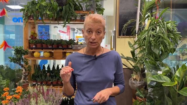 Курс по приемке срезанных цветов и продающая витрина