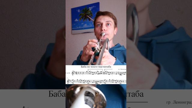 Баба не моего масштаба - Ленинград