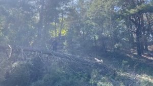 Гора Городище. Памятник природы Ростовской области. 2022 май