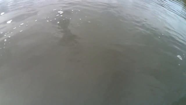 Творческий Путь к Успеху