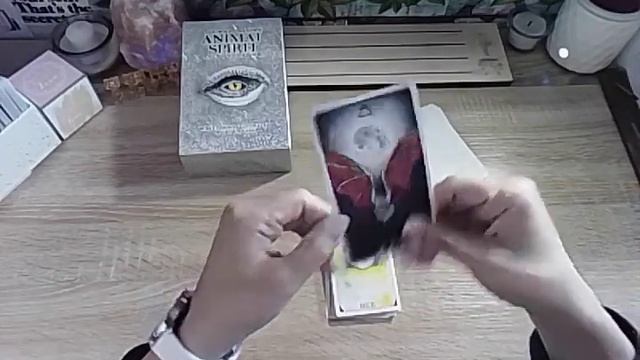 Animal Spirit Oracle смотреть онлайн