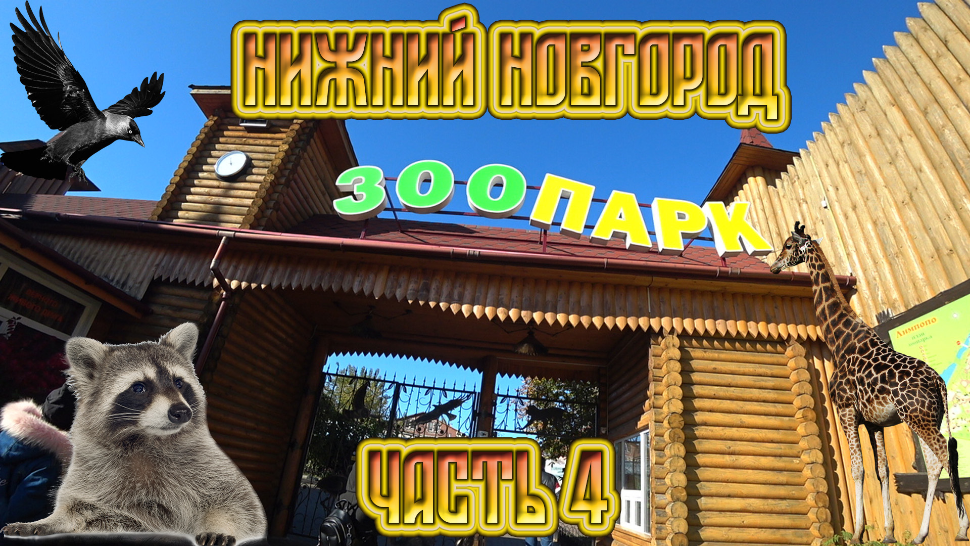 Отпуск в Нижнем Новгороде. Часть 4: Зоопарк