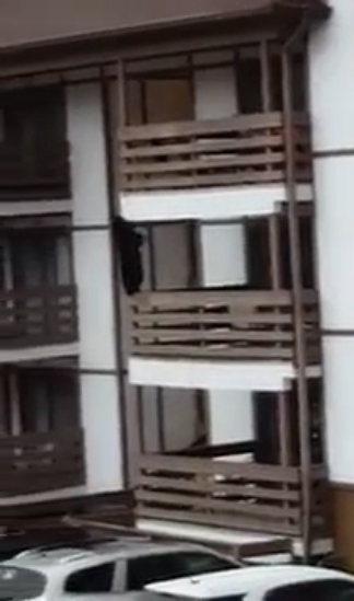 Медвежий побег по балконам - маленький "воришка" смотреть онлайн