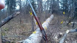 Моё ружье иж12кал.16  shotgun IZH 12 cal.16