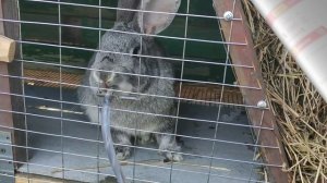 Трейлер для новых зрителей