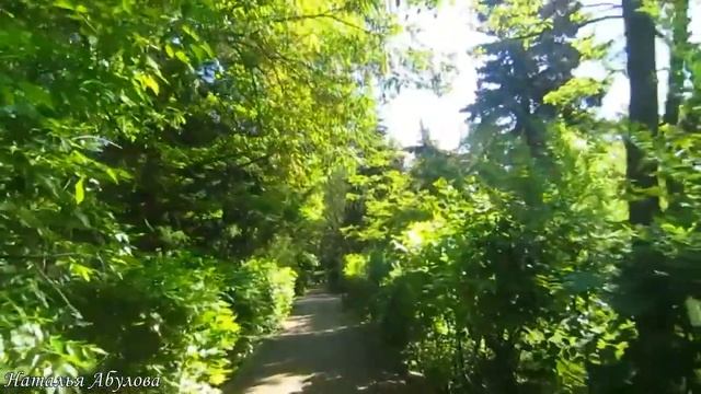 Вероника Тушнова смотреть онлайн